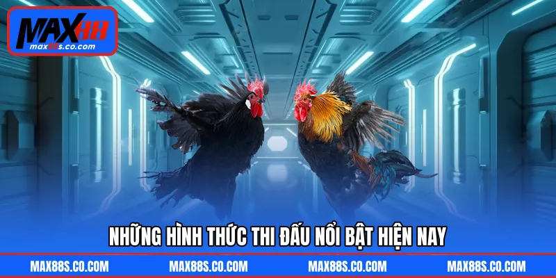 Những hình thức thi đấu nổi bật hiện nay