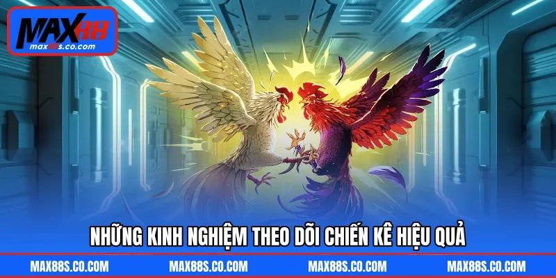 Những kinh nghiệm theo dõi chiến kê hiệu quả