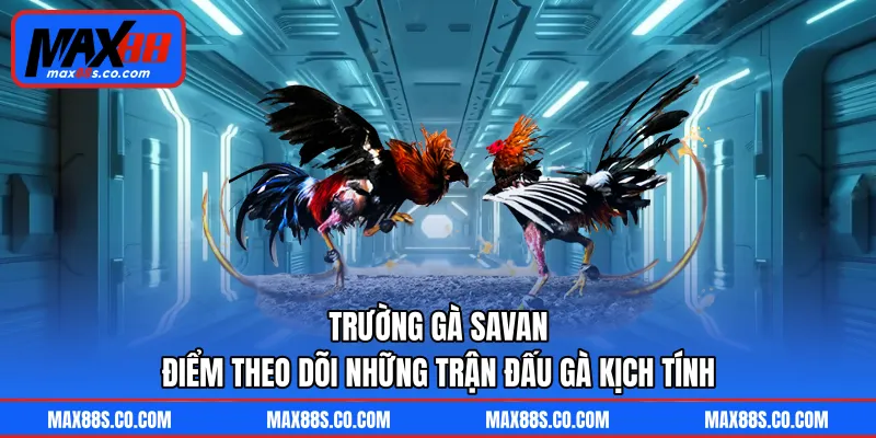 Trường Gà Savan - Điểm Theo Dõi Những Trận Đấu Gà Kịch Tính